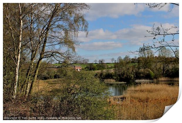 Carlton Marsh Nature Reserve South Yorkshire Print by Tom Curtis
