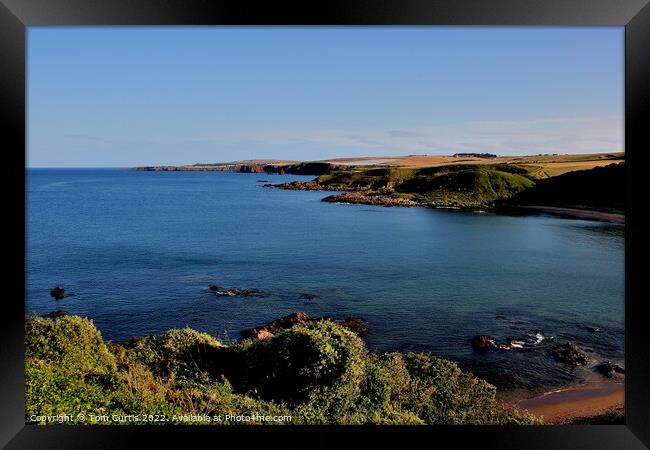 Coldingham Bay Berwickshire Framed Print by Tom Curtis