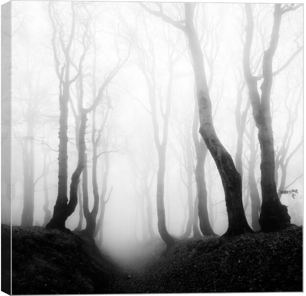 Haunted Forest Canvas Print by Andreas Vitting