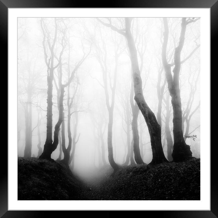 Haunted Forest Framed Mounted Print by Andreas Vitting