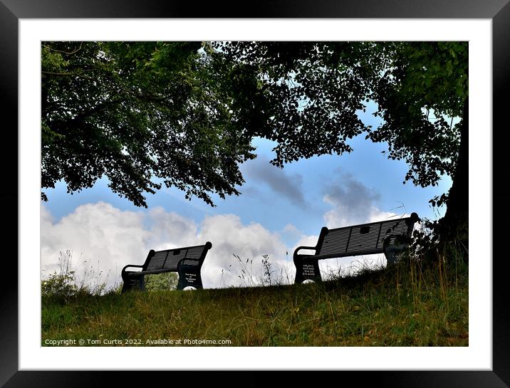 Benches on top of a hill Framed Mounted Print by Tom Curtis