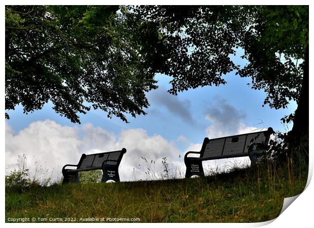 Benches on top of a hill Print by Tom Curtis