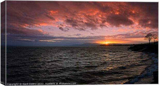 Sunset, Belfast Lough Canvas Print by Cecil Owens