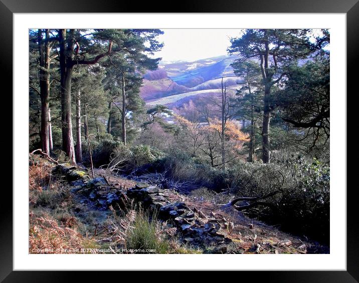 Goyt valley, Derbyshire. Framed Mounted Print by john hill