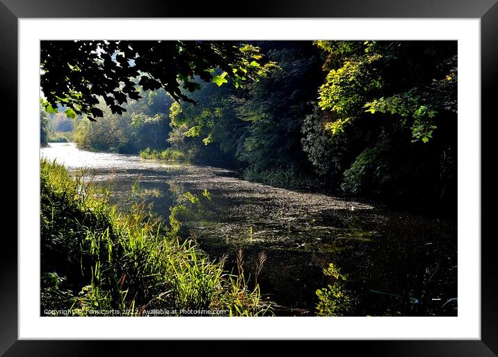 Barnsley Canal South Yorkshire Framed Mounted Print by Tom Curtis