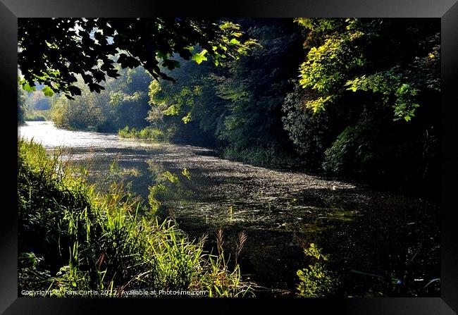 Barnsley Canal South Yorkshire Framed Print by Tom Curtis