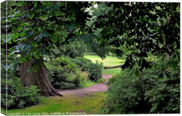 Wooded Parkland near Barnsley Canvas Print by Tom Curtis