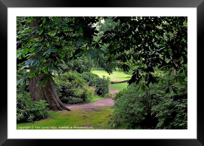 Wooded Parkland near Barnsley Framed Mounted Print by Tom Curtis