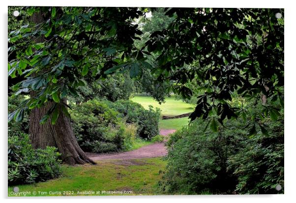 Wooded Parkland near Barnsley Acrylic by Tom Curtis