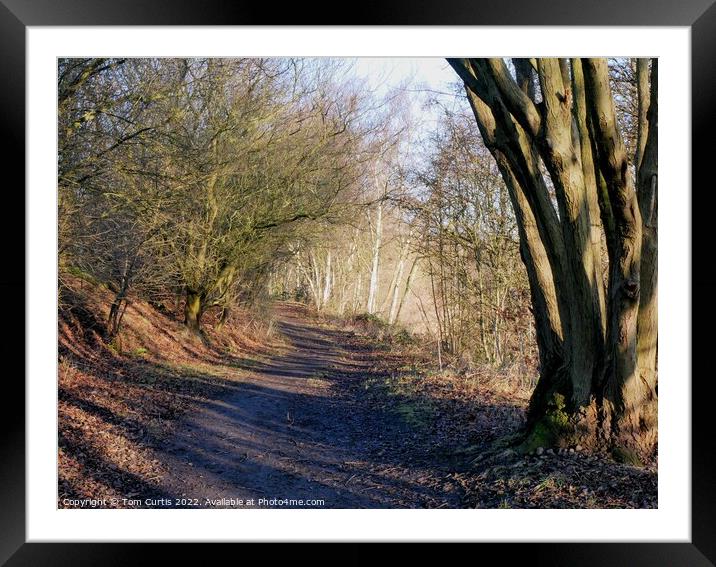Winter Walk in Yorkshire Framed Mounted Print by Tom Curtis