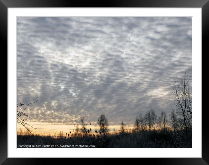 Mackerel Sky at Wath-upon Dearne Framed Mounted Print by Tom Curtis