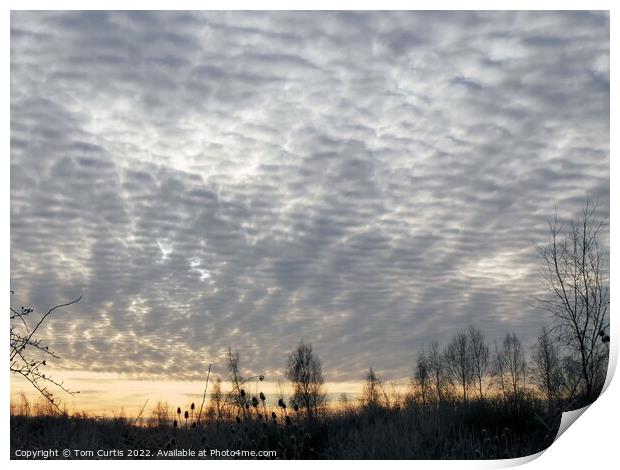 Mackerel Sky at Wath-upon Dearne Print by Tom Curtis