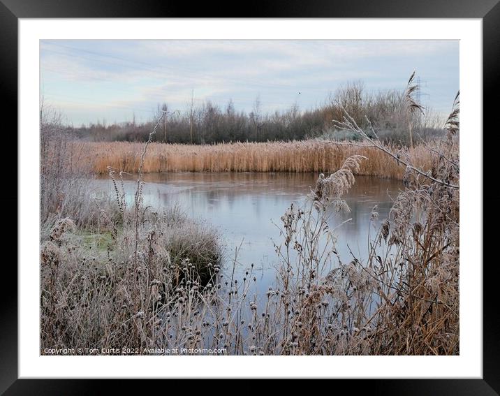 Frozen Lake on a Frosty morning Framed Mounted Print by Tom Curtis