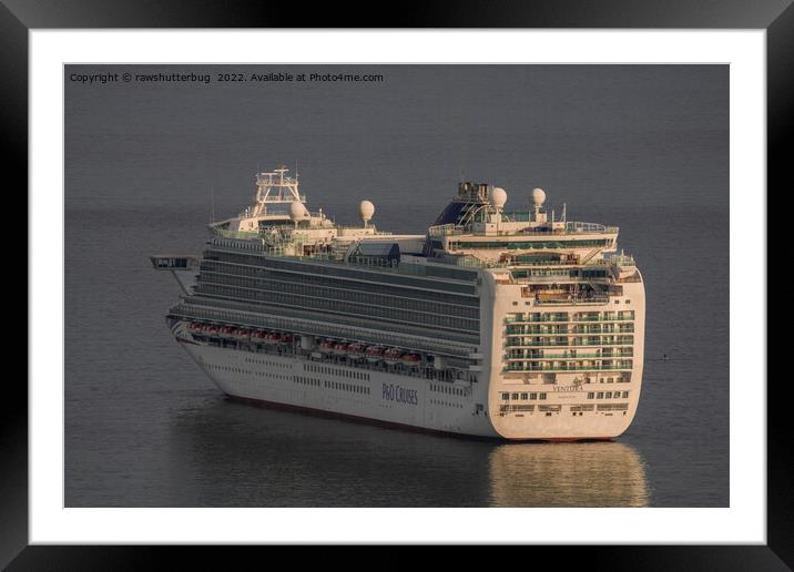 P&O Cruise Ventura Hamilton Framed Mounted Print by rawshutterbug 