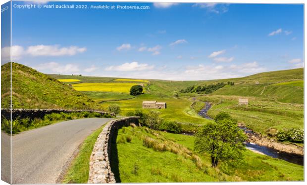 Upper Swaledale in Yorkshire Dales England Canvas Print by Pearl Bucknall