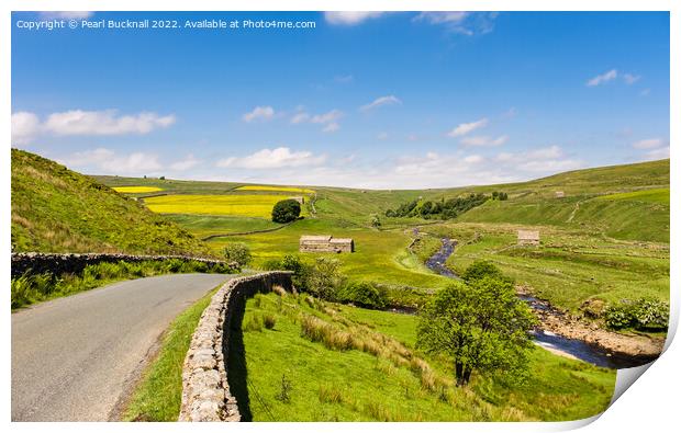 Upper Swaledale in Yorkshire Dales England Print by Pearl Bucknall