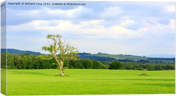 Scottish sunlit meadow  Canvas Print by Richard Long