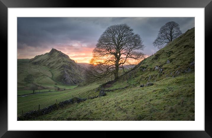 January Sunrise Framed Mounted Print by Gavin Duxbury
