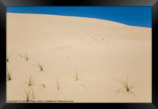 Blades of grass in a desert landscape Framed Print by Gordon Dixon