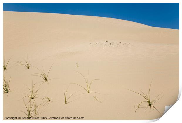 Blades of grass in a desert landscape Print by Gordon Dixon