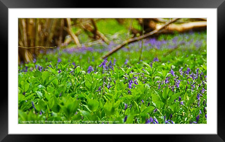 Front and Back Framed Mounted Print by GJS Photography Artist