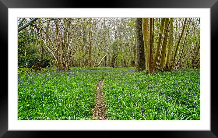 Green and Purples  Framed Mounted Print by GJS Photography Artist