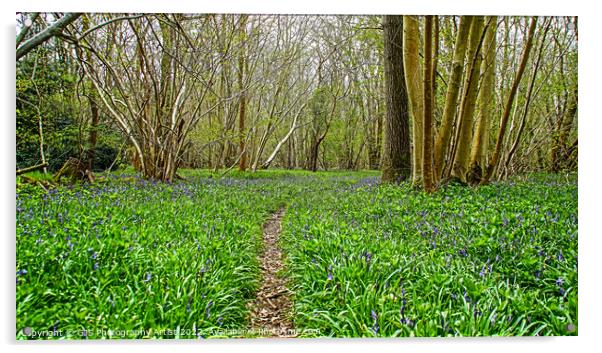 Green and Purples  Acrylic by GJS Photography Artist