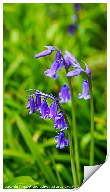 Open Bells Print by GJS Photography Artist