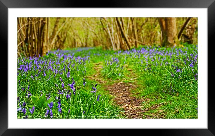 As Far As I Can See Framed Mounted Print by GJS Photography Artist