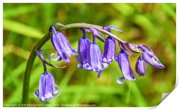 Bells in Closeup Print by GJS Photography Artist