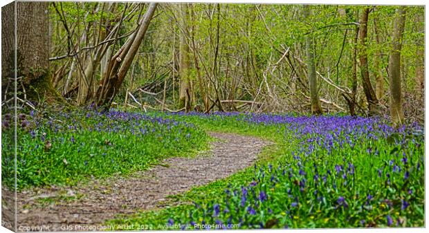 Sweeping Bluebells Canvas Print by GJS Photography Artist