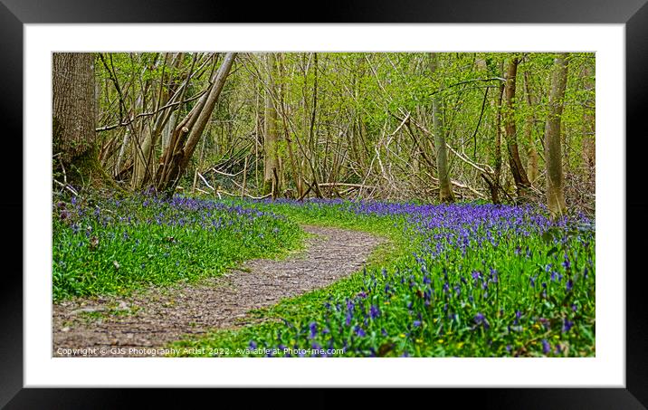 Sweeping Bluebells Framed Mounted Print by GJS Photography Artist