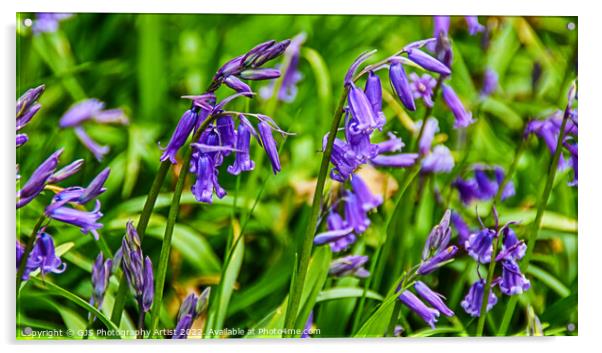 Bluebells in Spring Acrylic by GJS Photography Artist