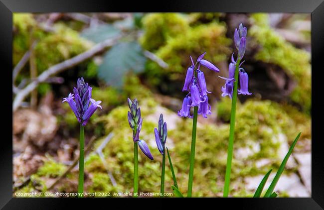 Stages of Opening Framed Print by GJS Photography Artist