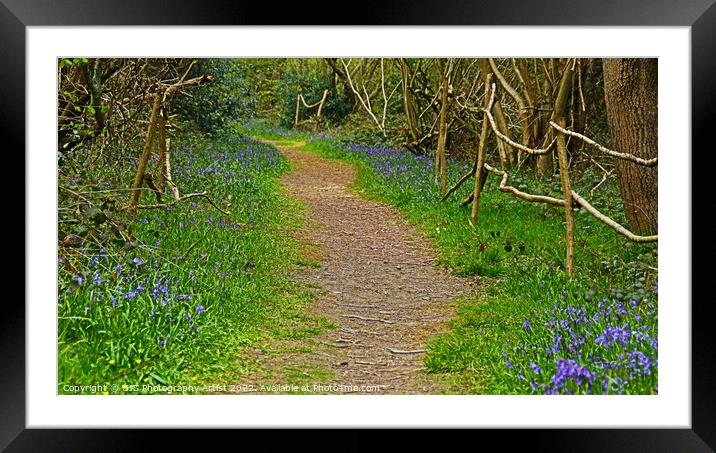 Root Pathway laden With Bluebells Framed Mounted Print by GJS Photography Artist