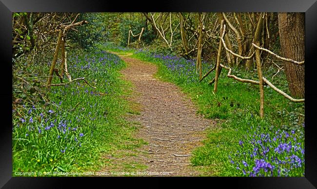 Root Pathway laden With Bluebells Framed Print by GJS Photography Artist
