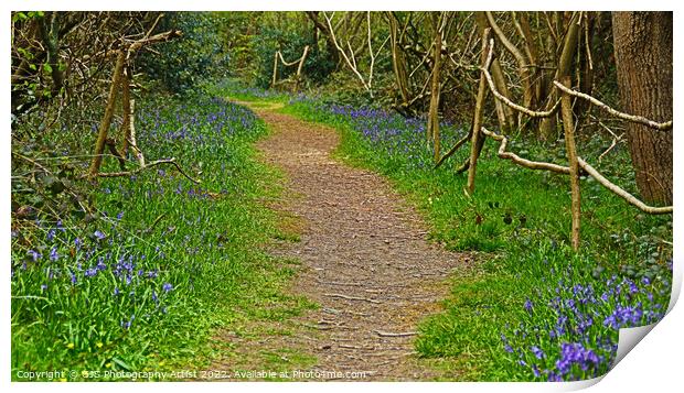 Root Pathway laden With Bluebells Print by GJS Photography Artist