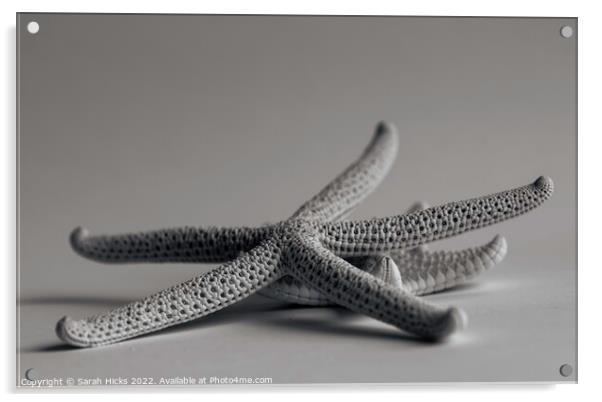 Two Starfish Acrylic by Sarah Hicks