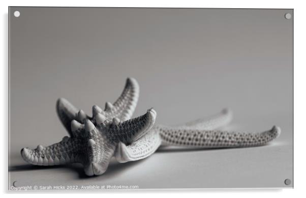 Starfish Acrylic by Sarah Hicks