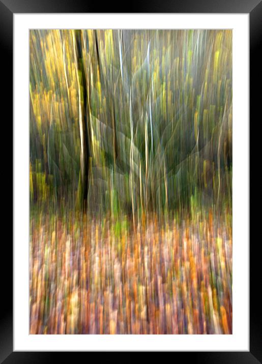 Autumn Tree Abstract Framed Mounted Print by Steve Purnell