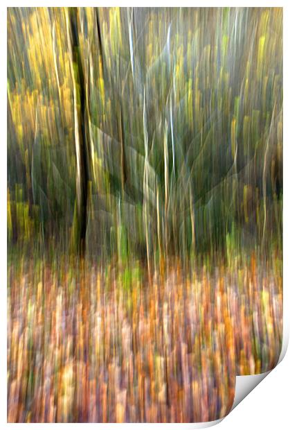 Autumn Tree Abstract Print by Steve Purnell