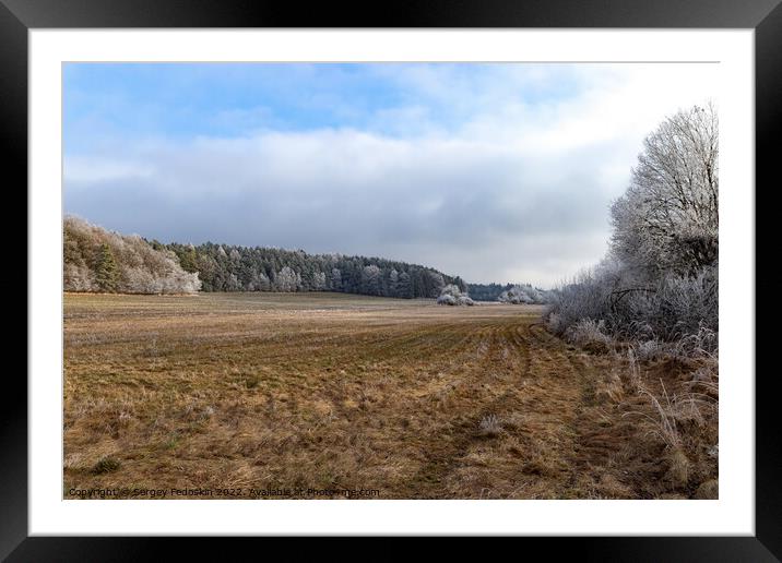 Winter czech countryside, trees and pastures. Czechia Framed Mounted Print by Sergey Fedoskin