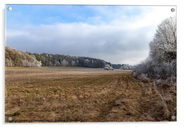 Winter czech countryside, trees and pastures. Czechia Acrylic by Sergey Fedoskin