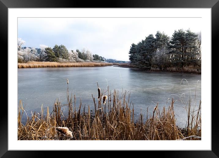 The frozen winter lake in wood under snow.  Framed Mounted Print by Sergey Fedoskin