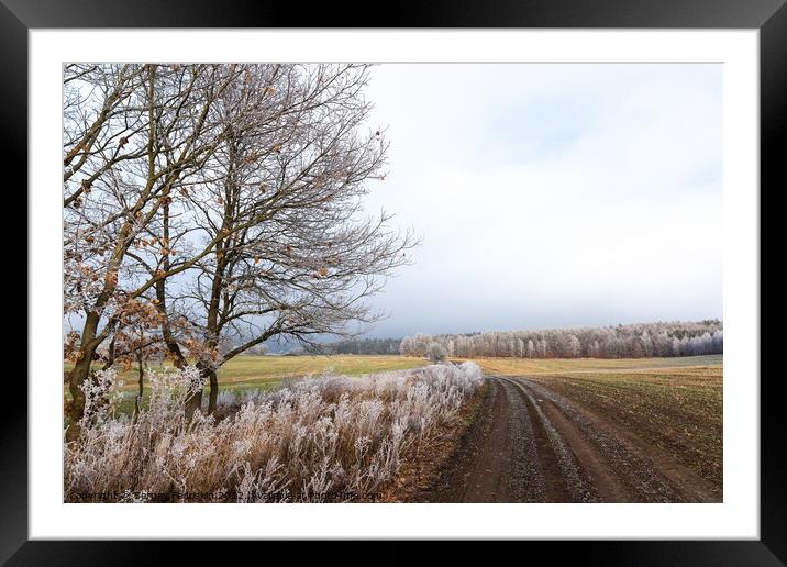 Winter countryside road in Czechia. Framed Mounted Print by Sergey Fedoskin
