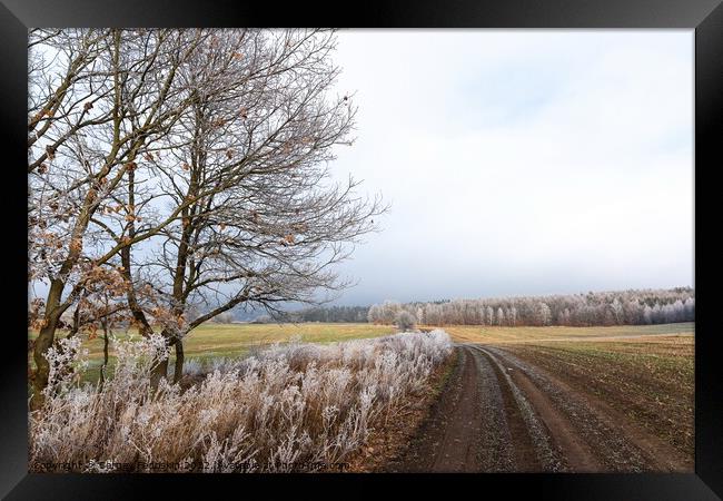 Winter countryside road in Czechia. Framed Print by Sergey Fedoskin