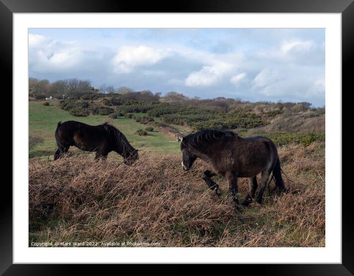 Wild Ponies. Framed Mounted Print by Mark Ward