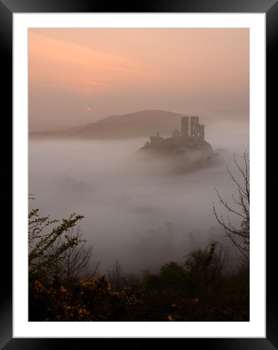 Corfe Castle - Portrait Framed Mounted Print by David Neighbour