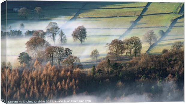 Derwent Valley Dawn Mist Canvas Print by Chris Drabble