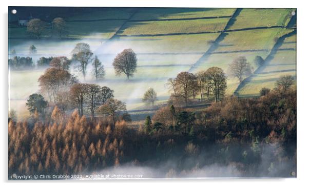 Derwent Valley Dawn Mist Acrylic by Chris Drabble